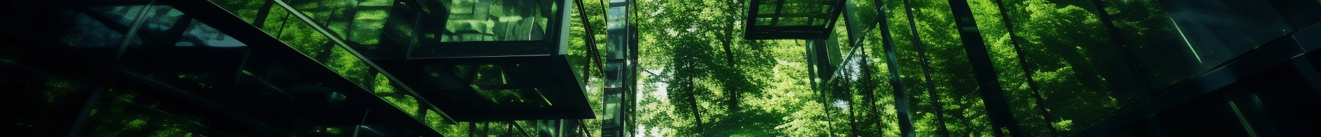 Nowoczesna, przeszklona fasada budynku, w której odbija się gęsty zielony las w pełnym słońcu.